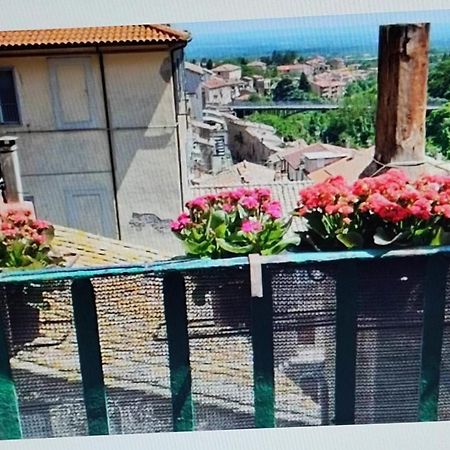 La Casa Del Sole Appartement Caprarola Buitenkant foto