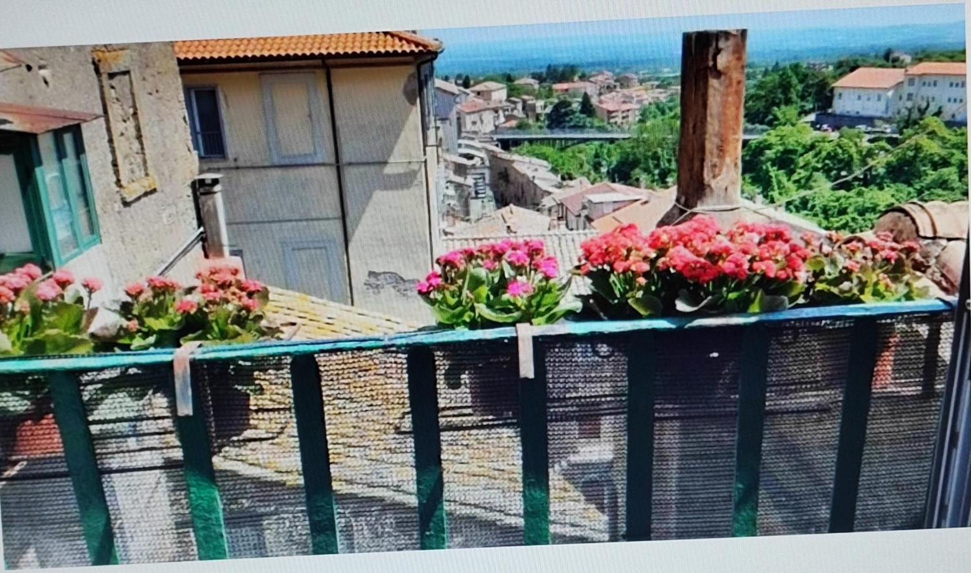 La Casa Del Sole Appartement Caprarola Buitenkant foto